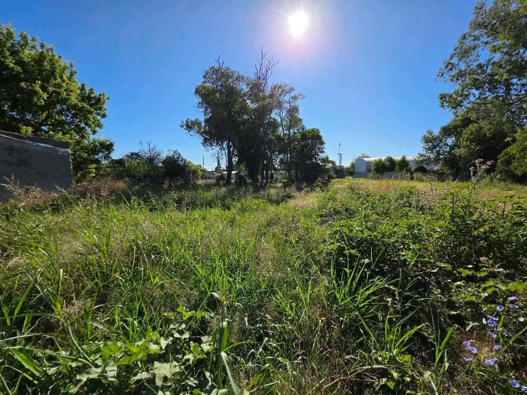 Terreno en venta en Villa Mantero — foto 4