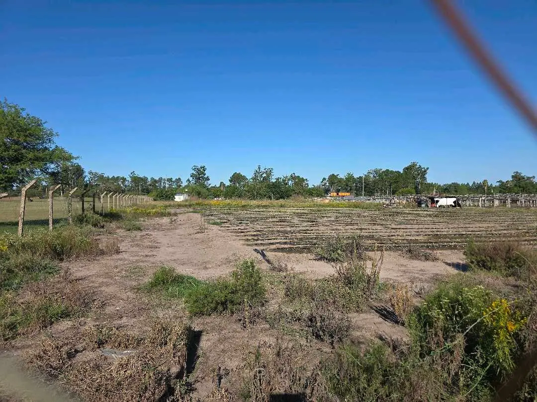 Terreno en venta en Concepción del Uruguay — foto 5