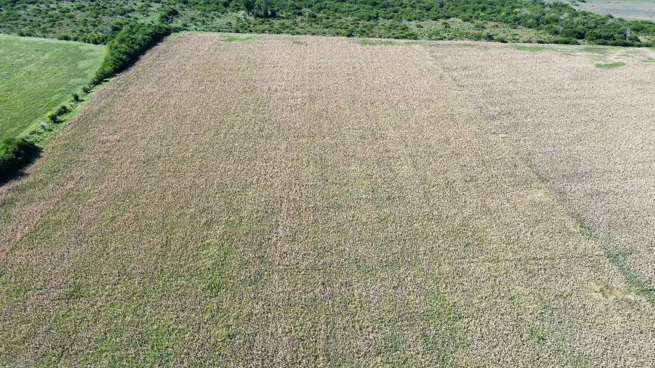 Terreno en venta en Concepción del Uruguay — foto 3
