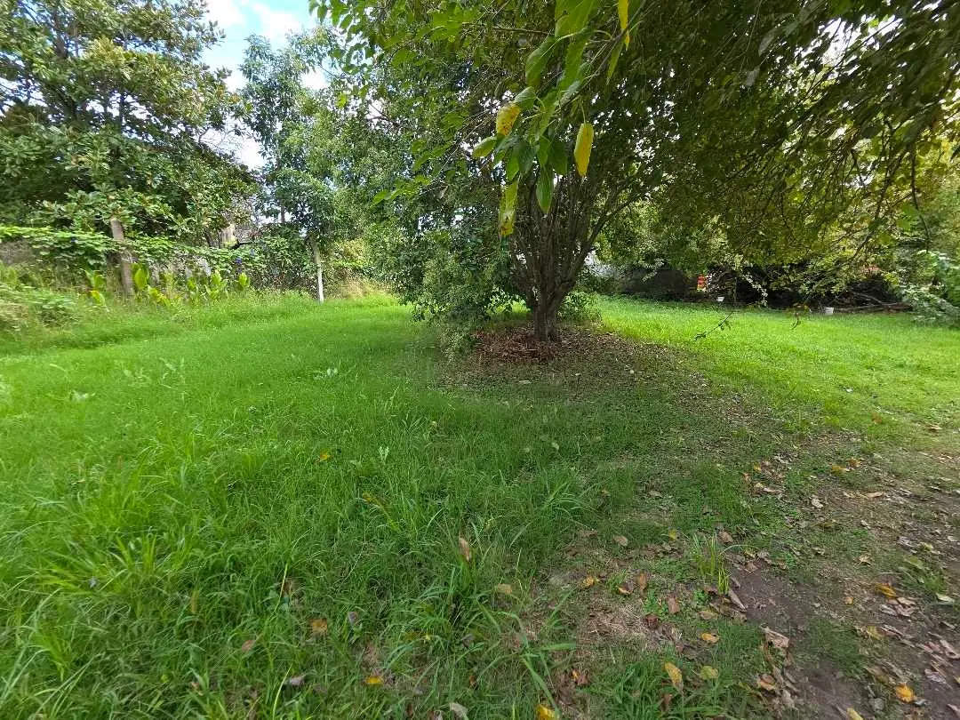 Terreno en venta en Caseros — foto 5