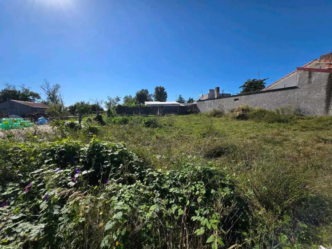 Terreno en venta en Herrera — foto 5