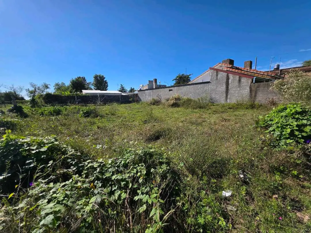 Terreno en venta en Herrera — foto 6