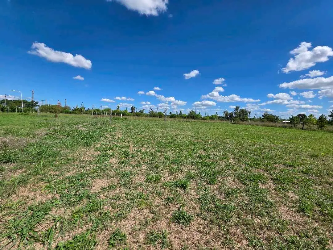 Terreno en venta en Concepción del Uruguay — foto 7