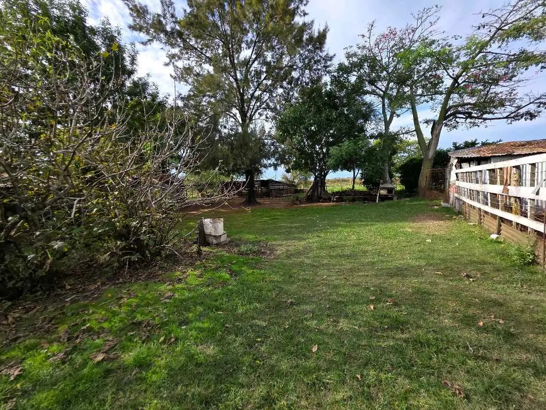 Casa de 3 dormitorios en venta en Herrera — foto 8