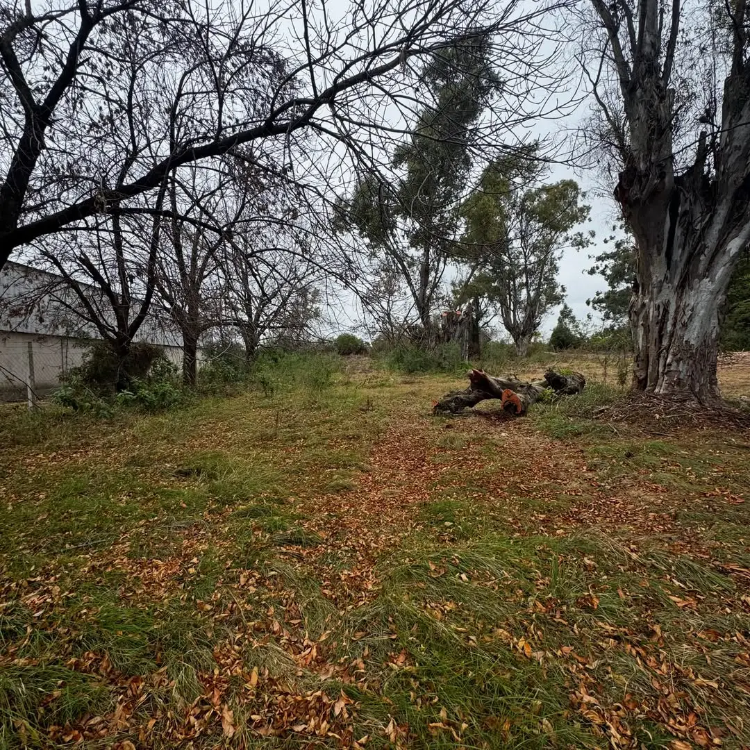 Terreno en venta en Concepción del Uruguay — foto 4