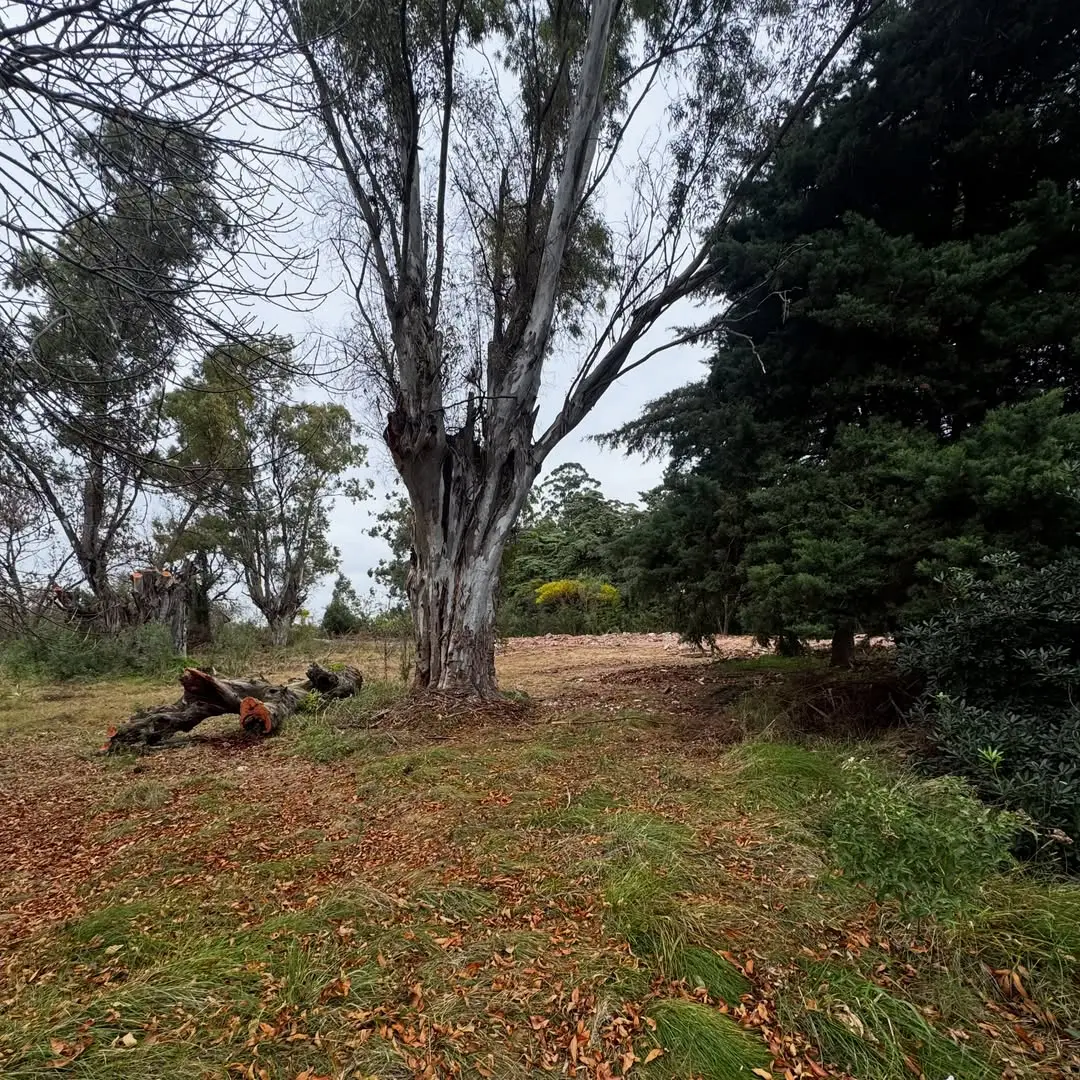 Terreno en venta en Concepción del Uruguay — foto 7