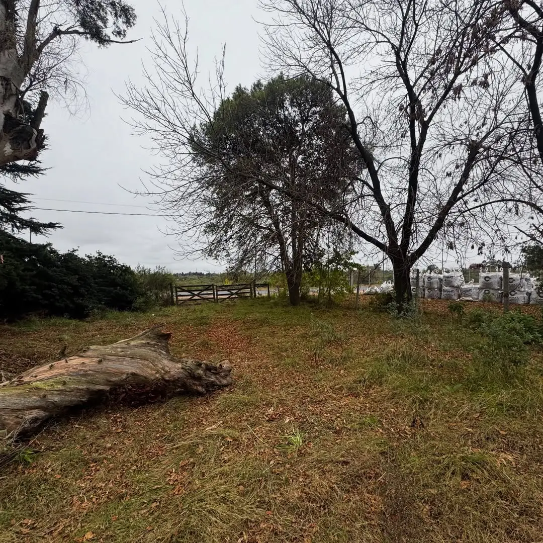 Terreno en venta en Concepción del Uruguay — foto 8