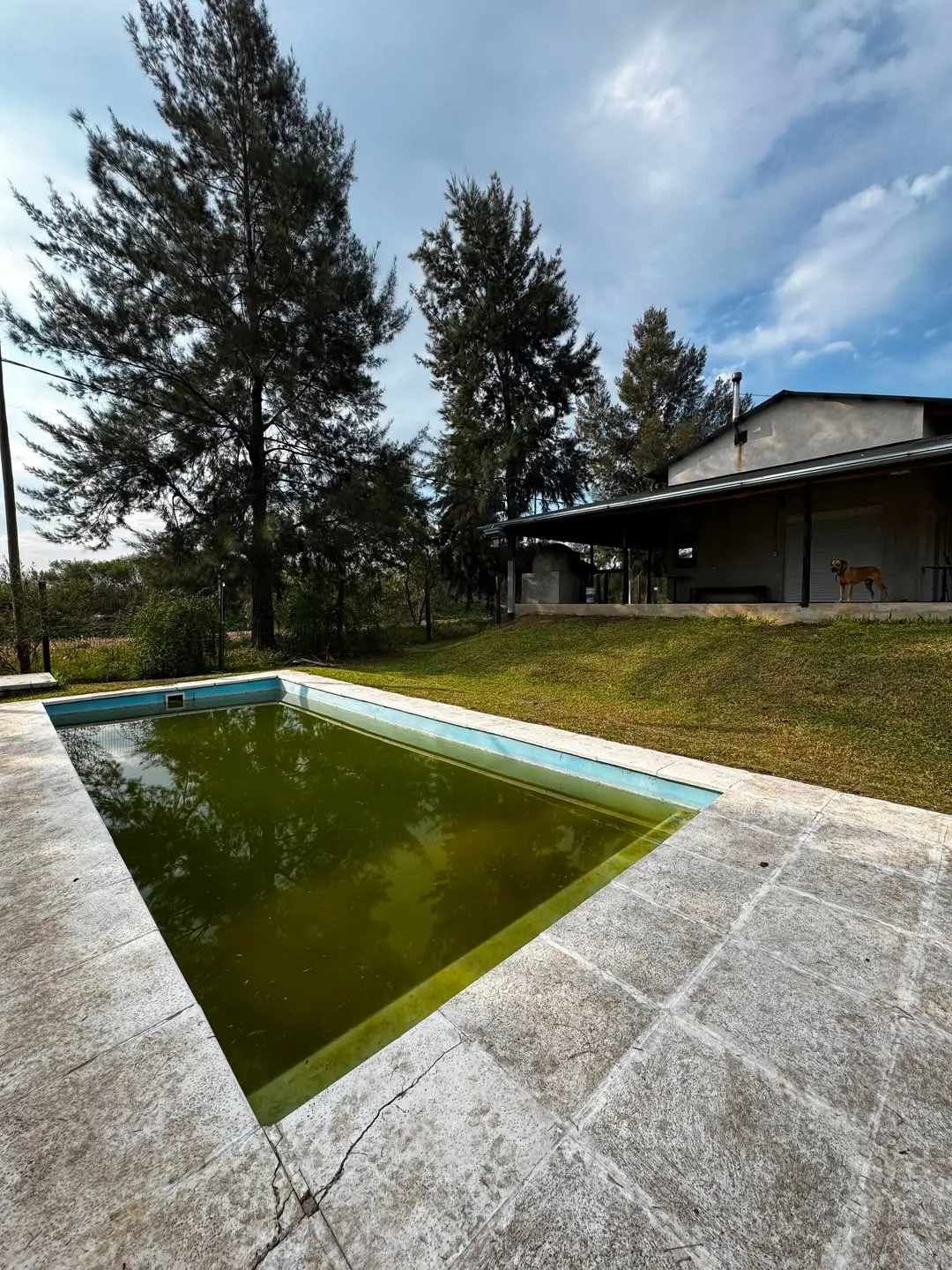 Casa de 2 dormitorios en alquiler en Barrio Las Quintas, Concepción del Uruguay — foto 10
