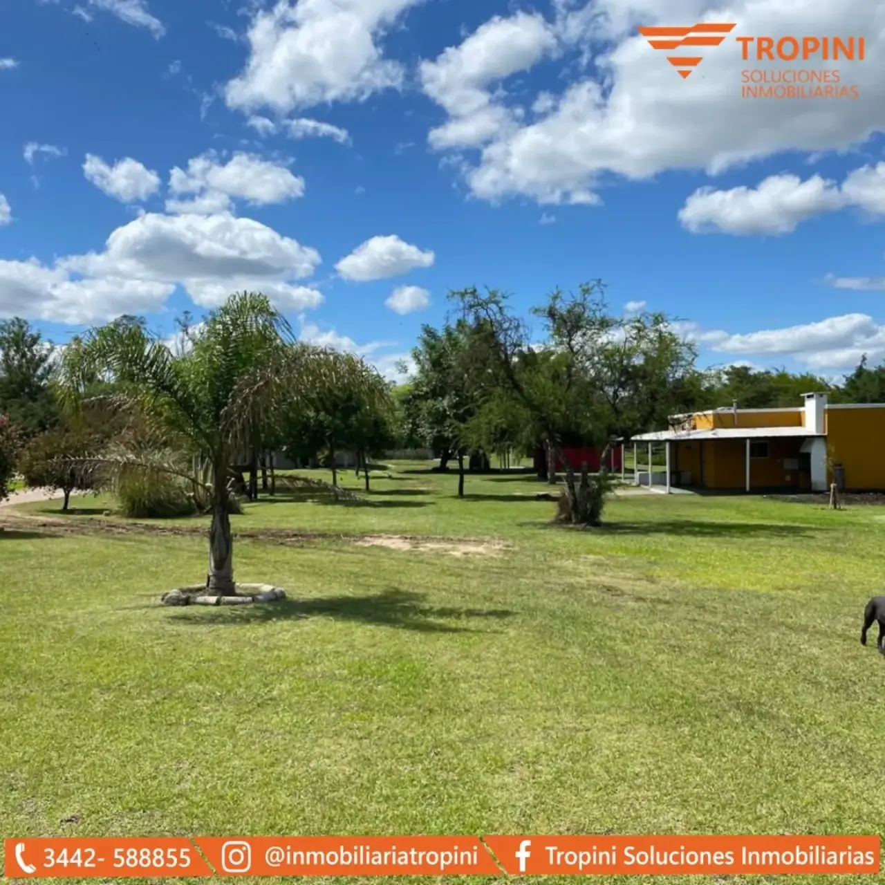 Departamento en alquiler en Concepción del Uruguay — foto 8