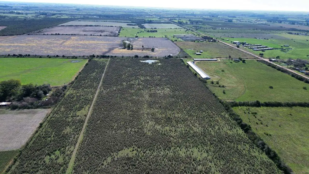 Terreno en venta en Caseros — foto 1