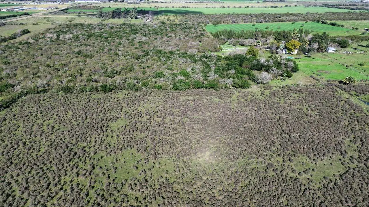 Terreno en venta en Caseros — foto 6