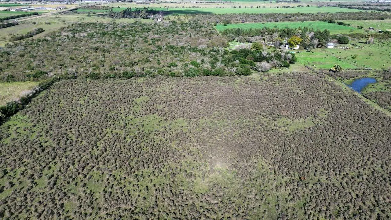 Terreno en venta en Caseros — foto 9