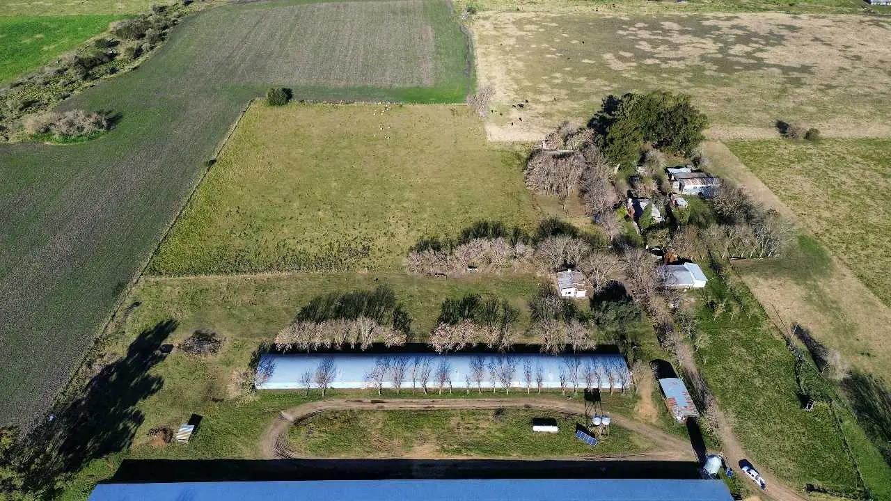 Terreno en venta en Colonia Elía — foto 3