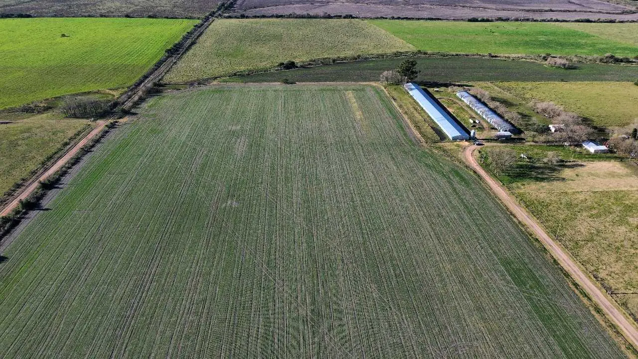 Terreno en venta en Colonia Elía — foto 6