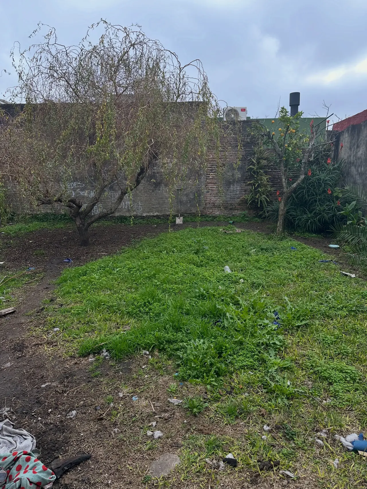 Casa de 3 dormitorios en venta en Concepción del Uruguay — foto 9