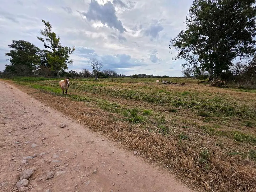 Terreno en venta en San Justo — foto 1