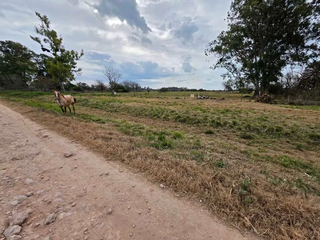 Terreno en venta en San Justo — foto 3