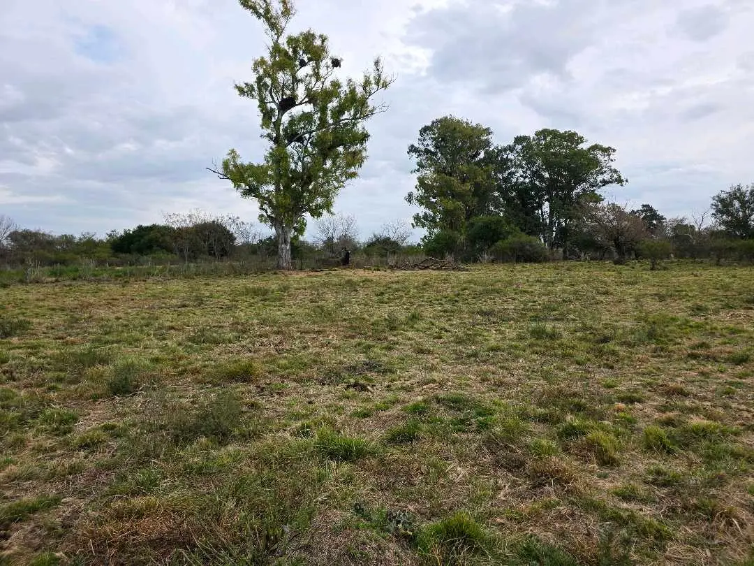 Terreno en venta en San Justo — foto 5