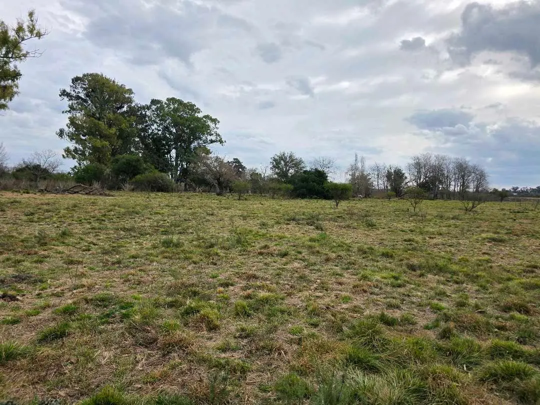 Terreno en venta en San Justo — foto 8