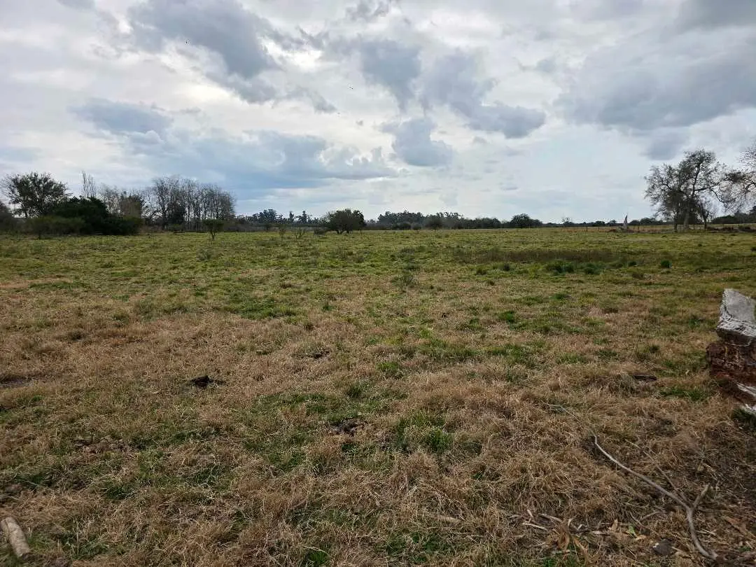 Terreno en venta en San Justo — foto 10