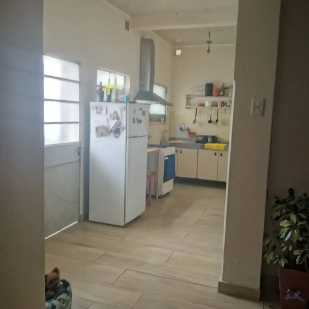Casa de 2 dormitorios en venta en Concepción del Uruguay — foto 3