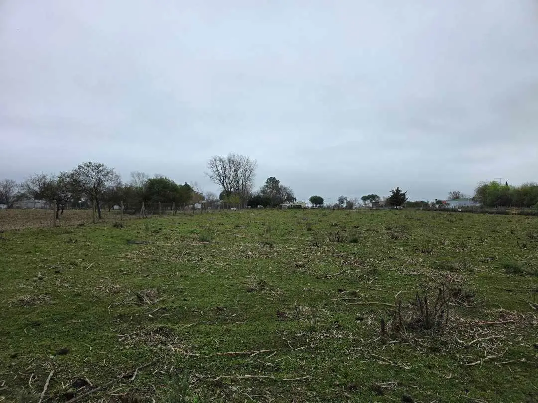 Terreno en venta en Herrera — foto 5