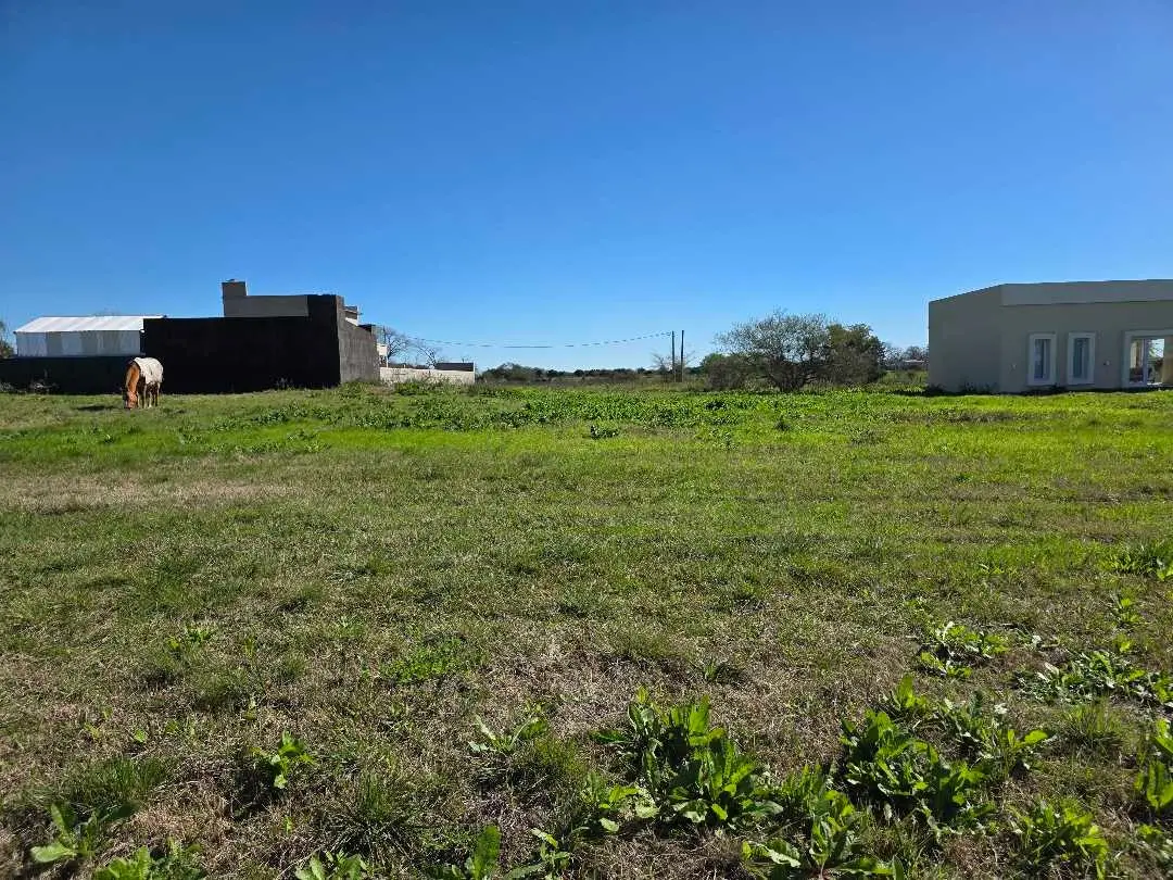 Terreno en venta en Caseros — foto 5
